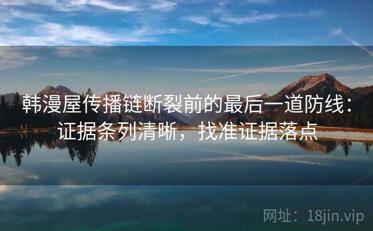 韩漫屋传播链断裂前的最后一道防线：证据条列清晰，找准证据落点